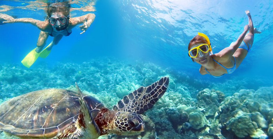 snorkeling in st thomas